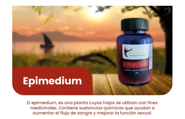 Epidemiun - Image 2
